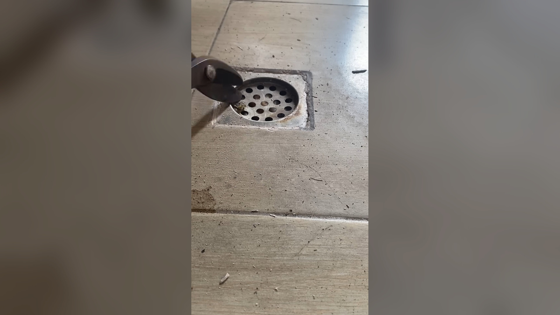 A2505017_Stray Kitten Rescued From Drain Pipe || ViralHog_part2