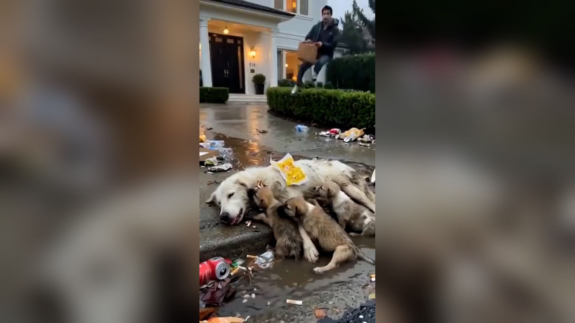 A2605100_� They Slept in Trash Outside a Luxury House… Until One Stranger Saved Their Lives ��While people stayed warm inside