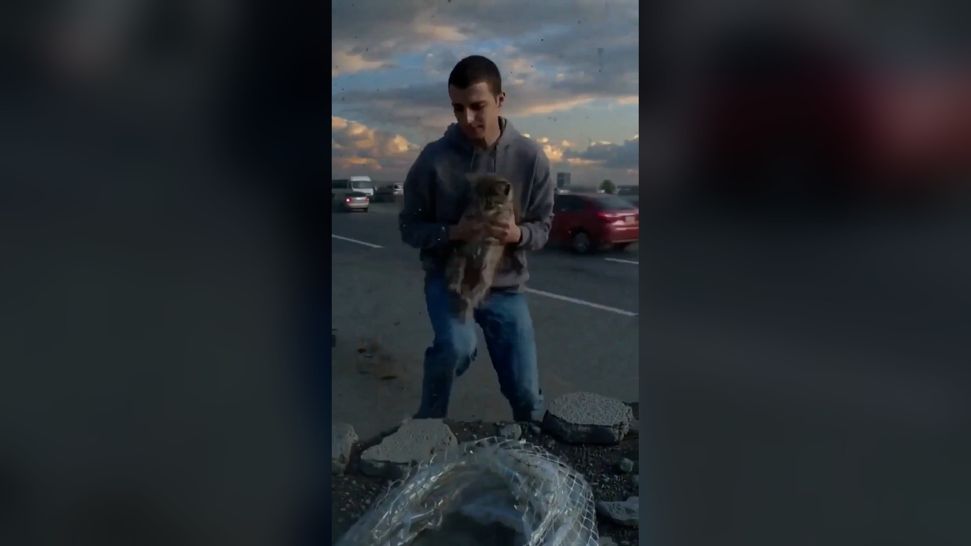 A2605053_He Found a Dying Cat… What Happened Next Will Make You Cry ��#cats #cat #kitten #kittens #rescue #animal #animallove